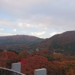 箱根彫刻の森美術館　紅葉