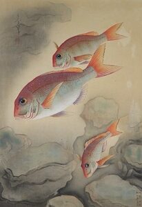 大野麦風　大日本魚類画集