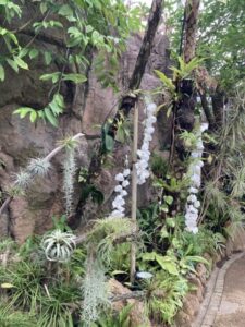 BOTANICARIUM2