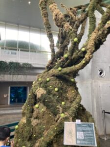 巨大な樹木