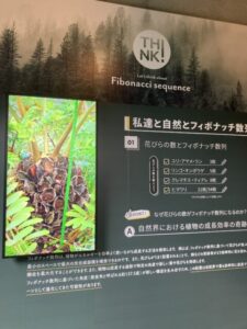 掲示物