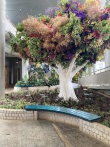 BOTANICA MUSEUM　ミラクル・ツリー