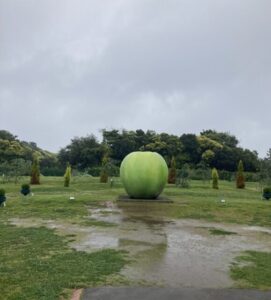 BOTANICA MUSEUM　庭園