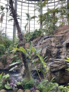 BOTANICARIUM１