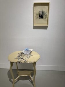 can't see the forest for the leaves