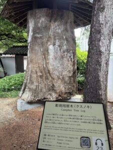 平櫛田中100歳で購入した作品の材料